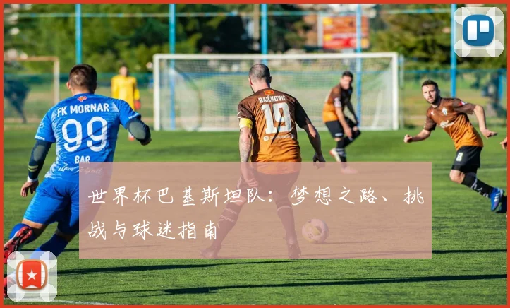 世界杯巴基斯坦队：梦想之路、挑战与球迷指南